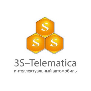 3S-Telematica        -2013
